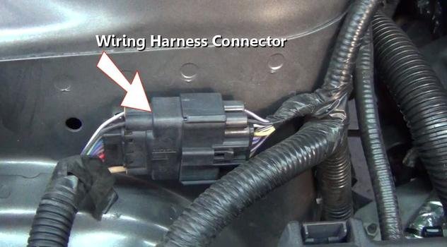 conector del mazo de cables