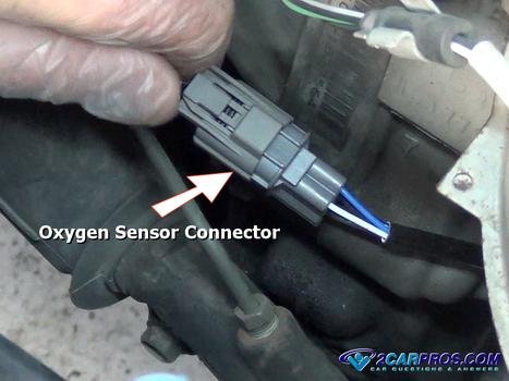 conector del sensor de oxígeno